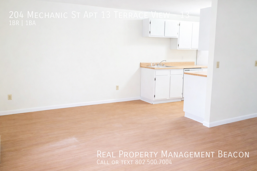 204 Mechanic St Apt 13 Terrace View #13 - Photo 4 of 11