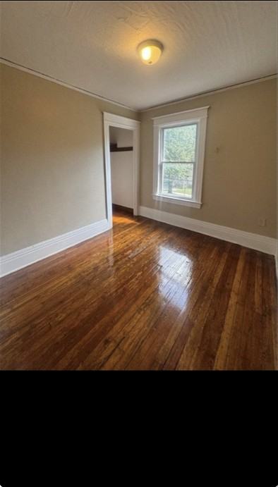 42 Curtis St - Photo 5 of 11