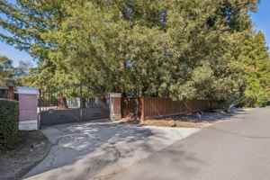 featured image of 142 Patricia Dr