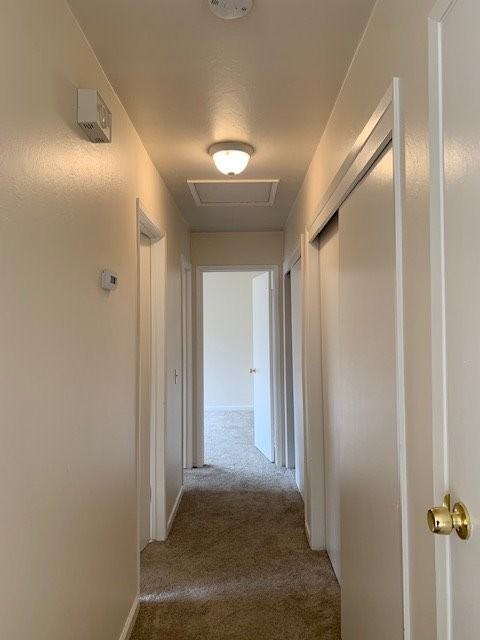 1485 Plumas Ave - Photo 6 of 11