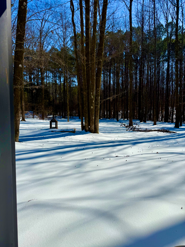 664 Confederate Ridge Rd - Photo 3 of 17