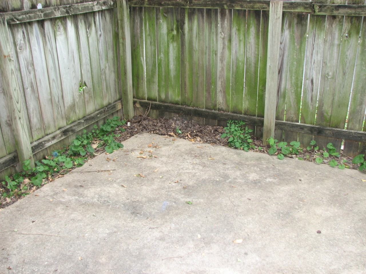 1616 Anthony St - Photo 7 of 16