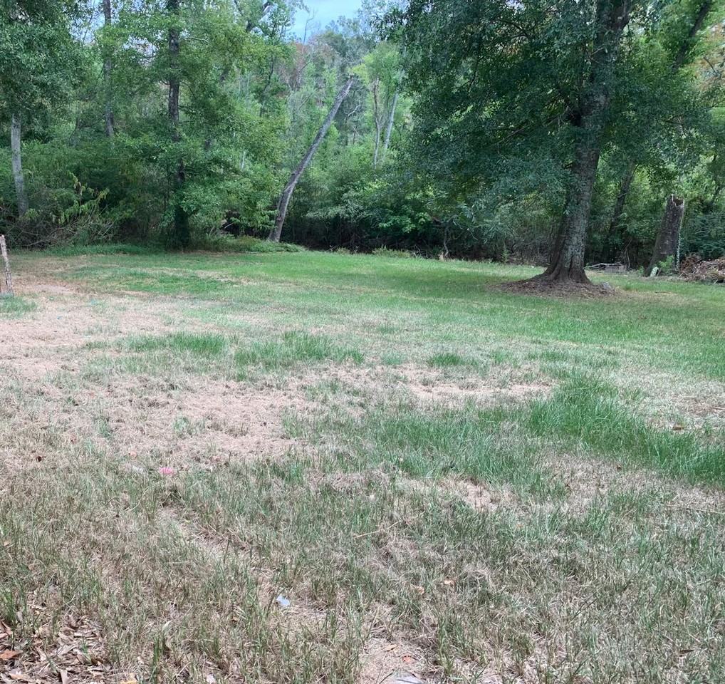 52520 Highway 1065 - Photo 6 of 20