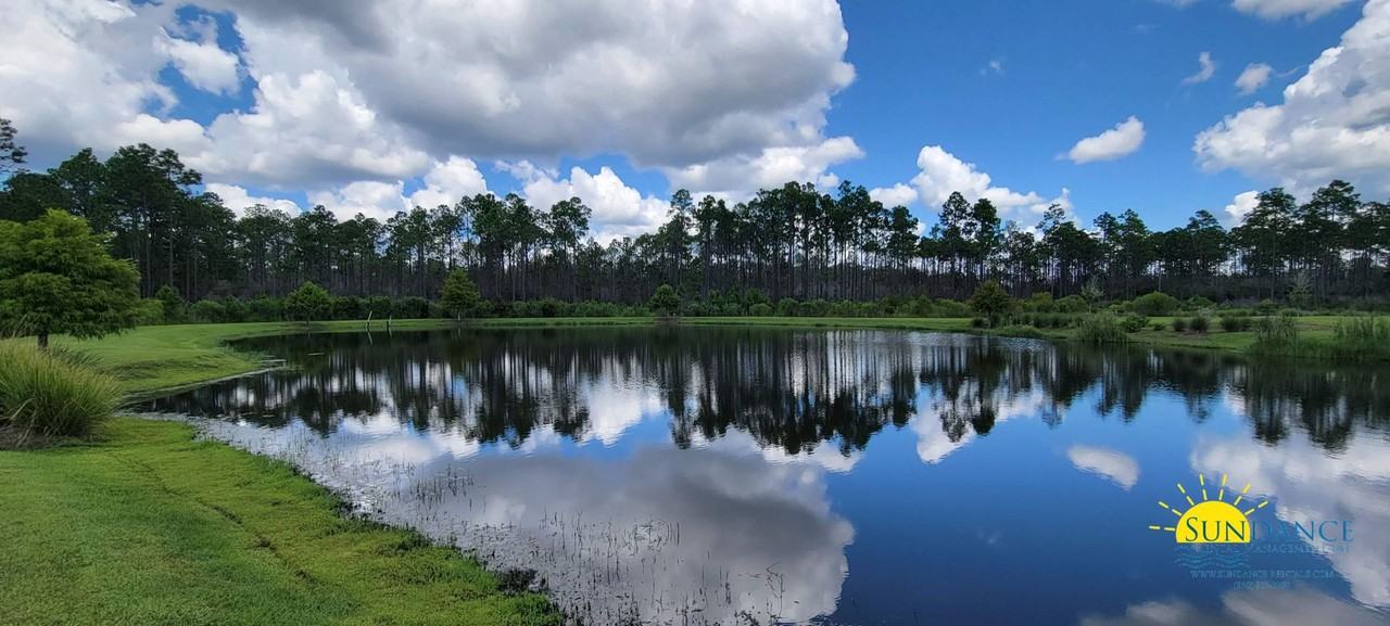 137 Roundwood Dr - Photo 3 of 30