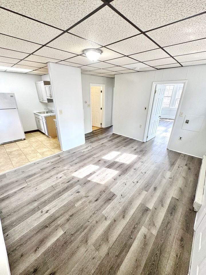 295 S 14th St - Photo 4 of 11