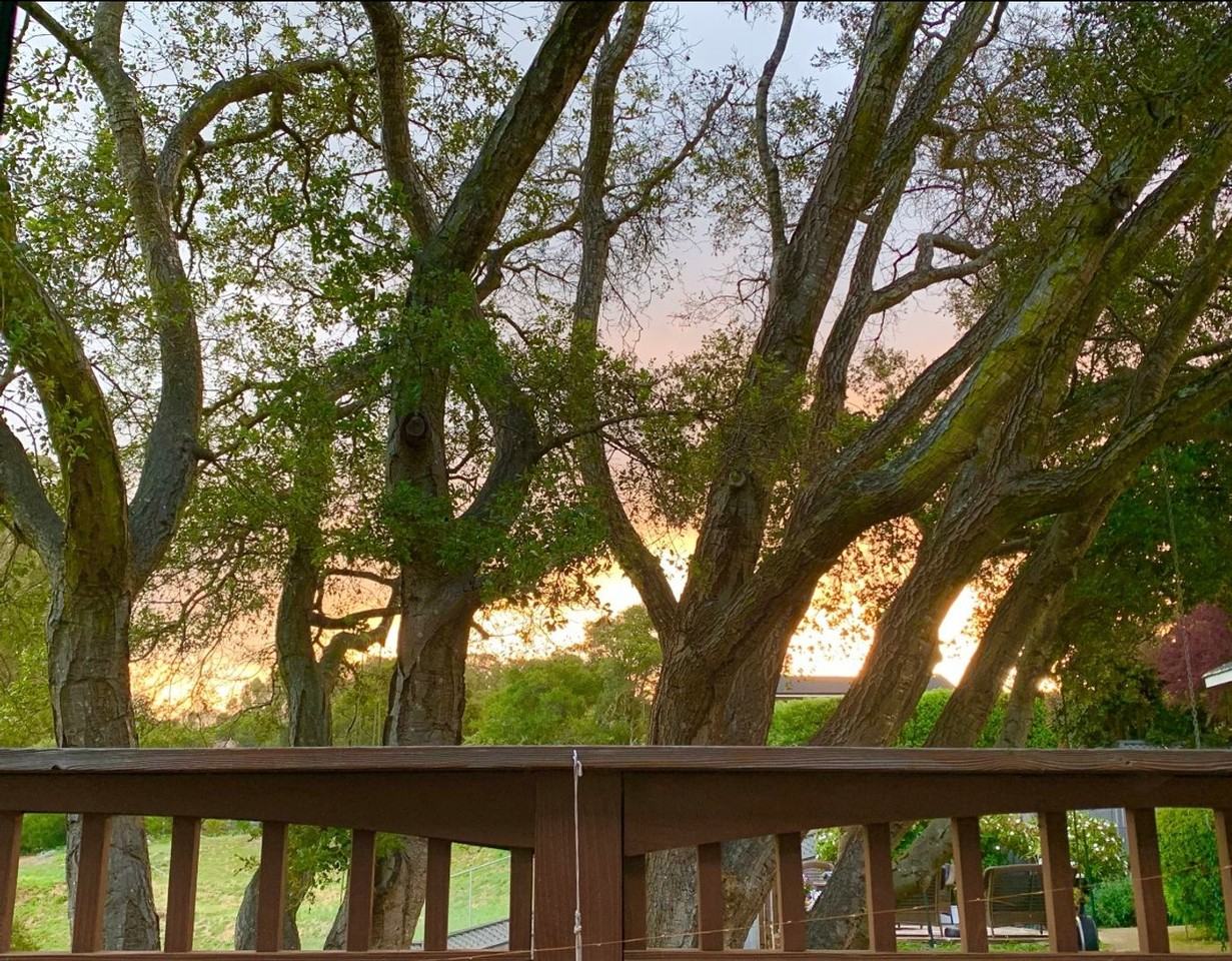 114A Alta Dr - Photo 4 of 8