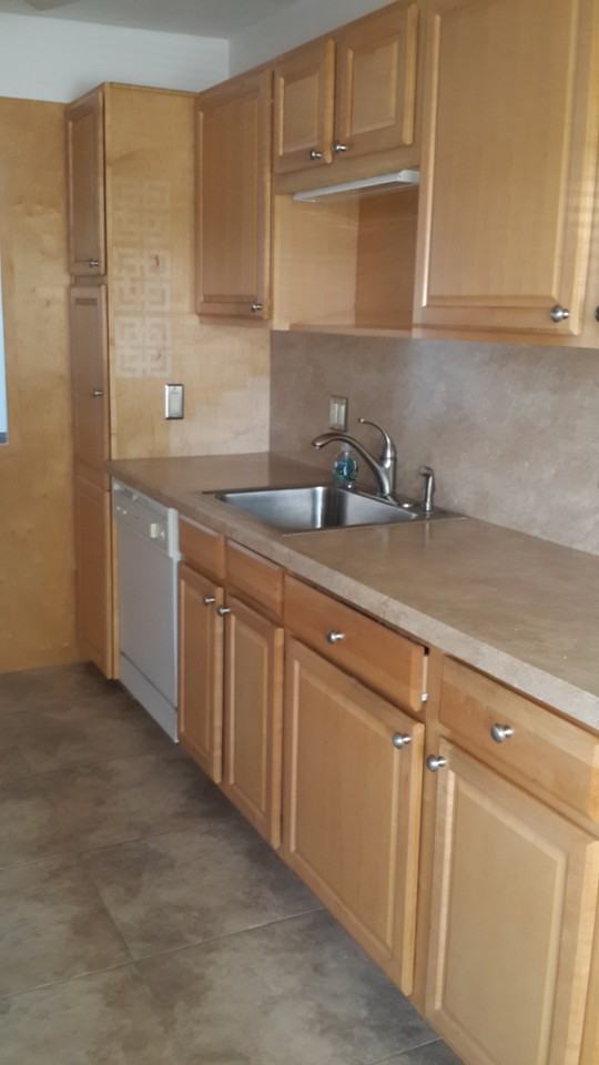 2381 Papaya Dr #C - Photo 5 of 19