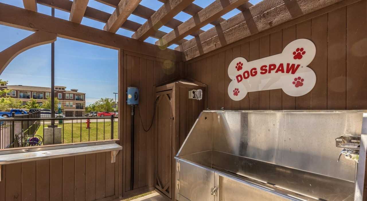 Collin Mckinney Pkwy #4699B - Photo 4 of 17