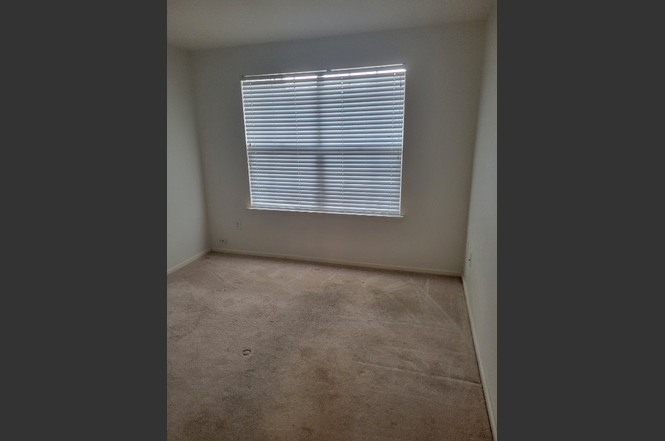 1495 Blue Sky Way #9-203 - Photo 5 of 21