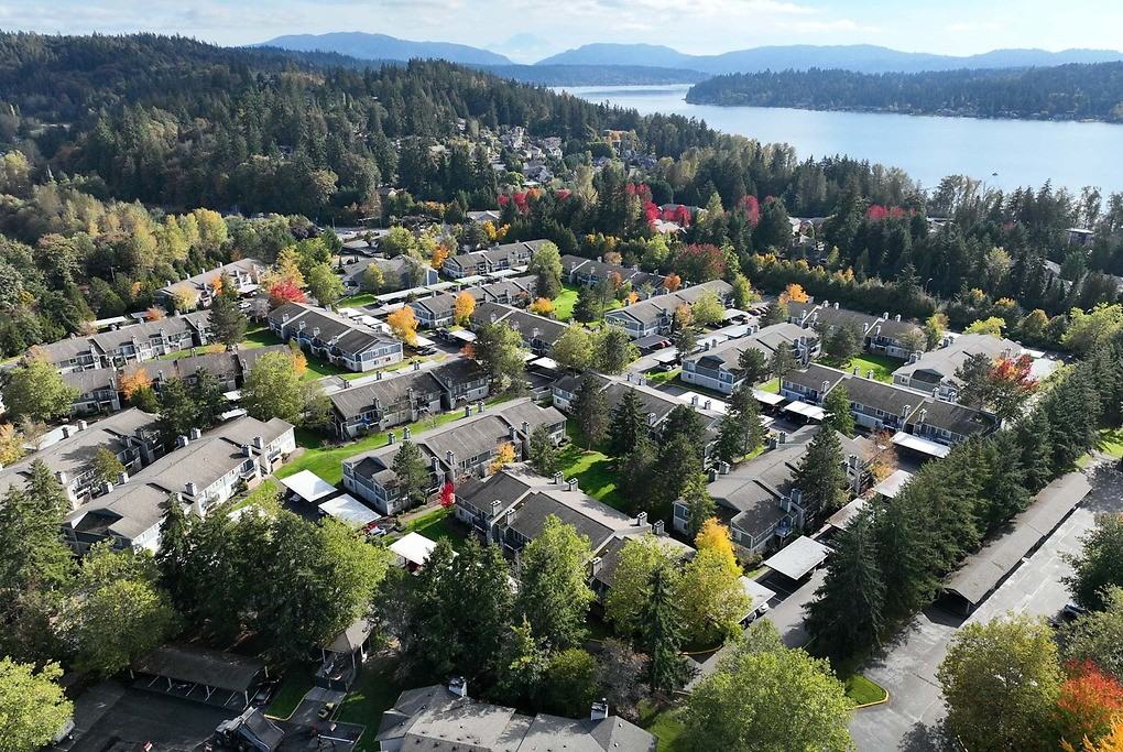 Vesta - Photo 2 of 50