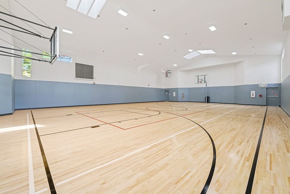 Vesta - Photo 6 of 50