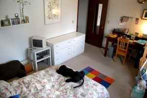 906 Jenifer St - Photo 4 of 5