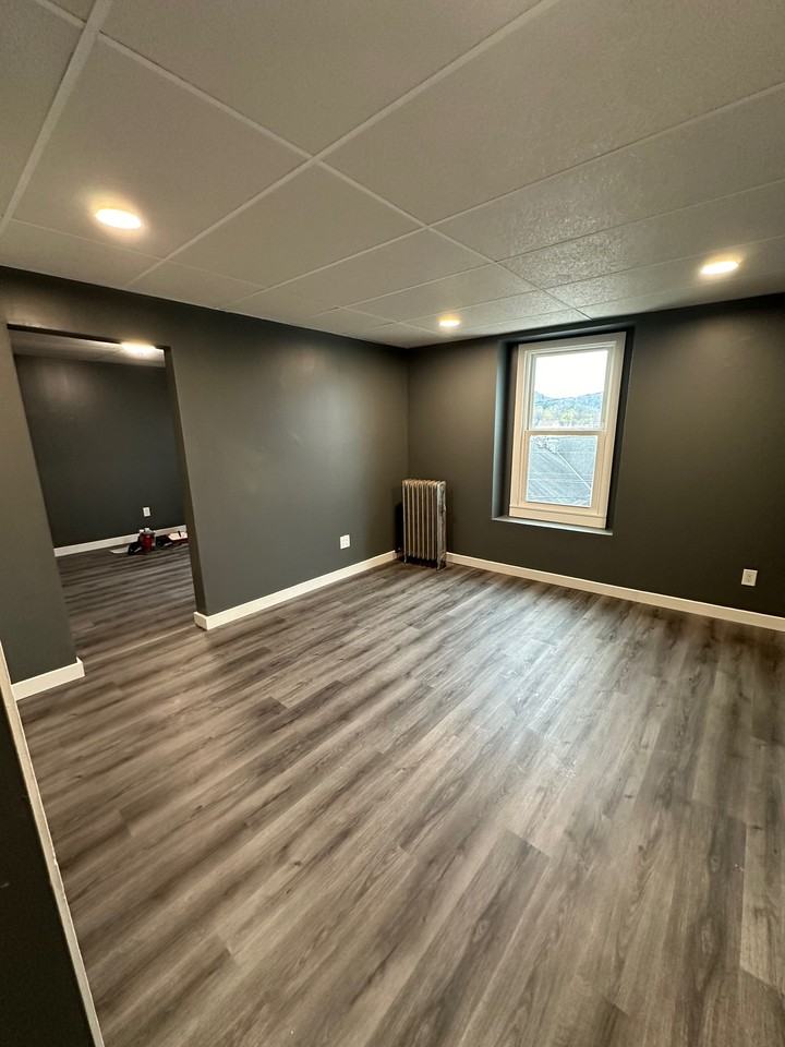 1200 Vestal Avenue - Photo 5 of 19