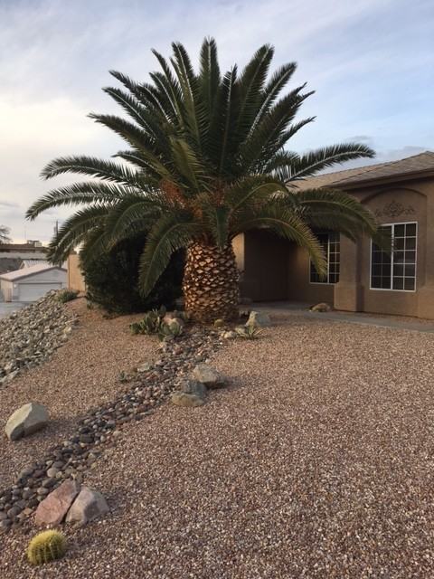 355 Stallion Ln - Photo 3 of 18