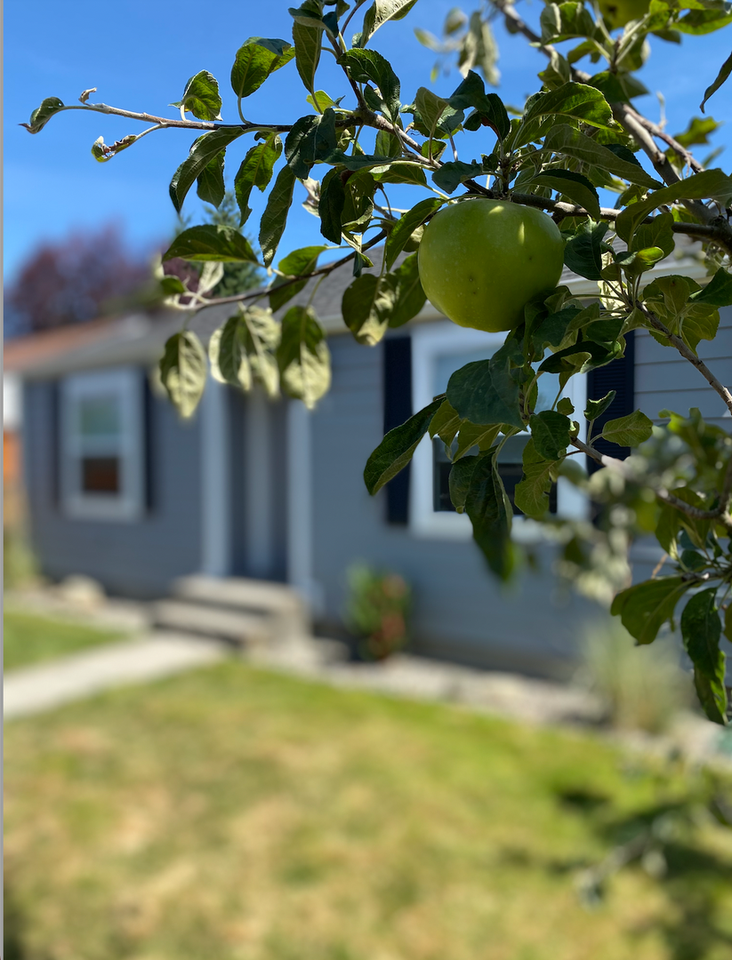 7916 14th Ave Sw - Photo 2 of 11