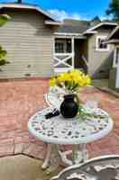 featured image of 1043 Poli St