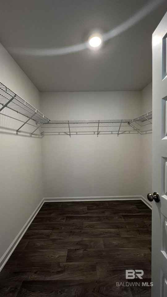 23941 Unbridled Loop - Photo 7 of 12