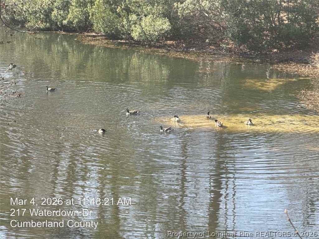 217 Waterdown Dr Apt 8 - Photo 3 of 26