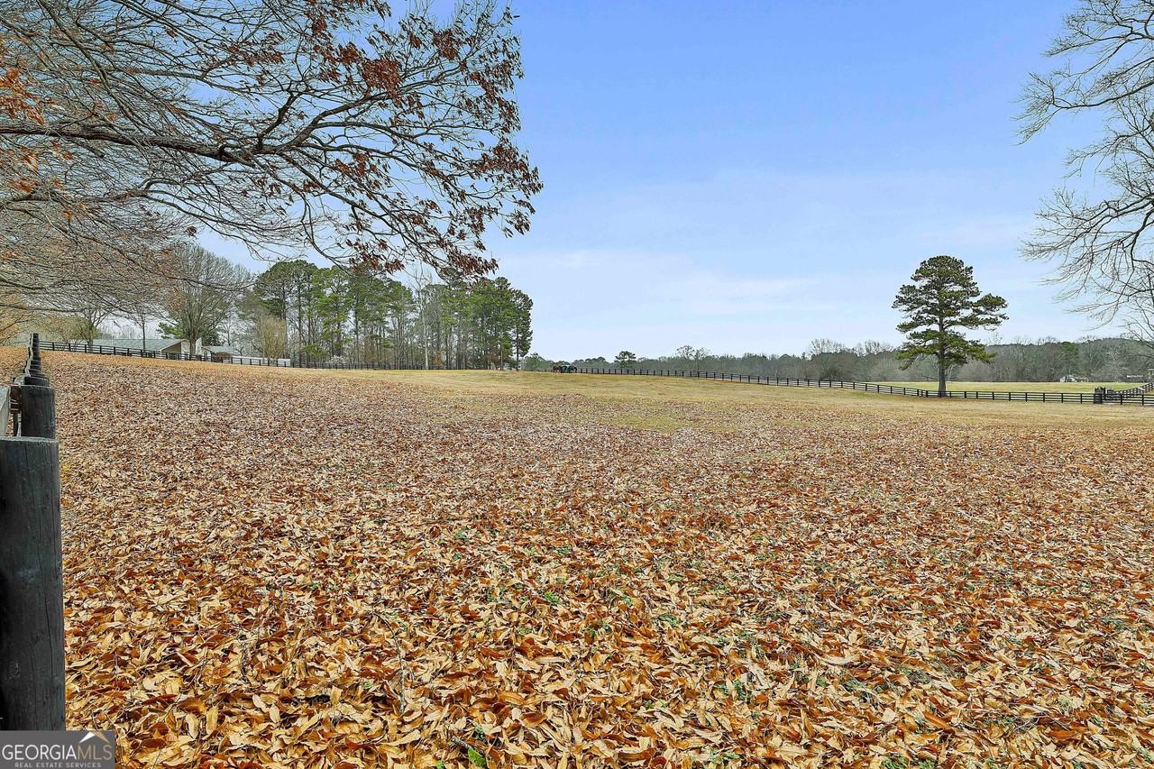 5116 Lower Fayetteville Rd - Photo 4 of 50