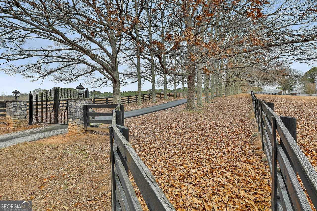 5116 Lower Fayetteville Rd - Photo 5 of 50