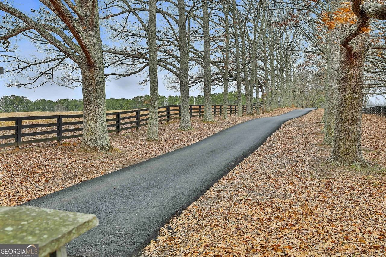 5116 Lower Fayetteville Rd - Photo 6 of 50