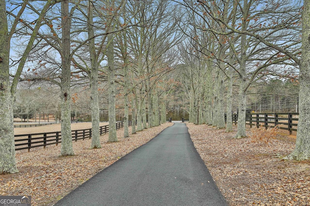 5116 Lower Fayetteville Rd - Photo 7 of 50