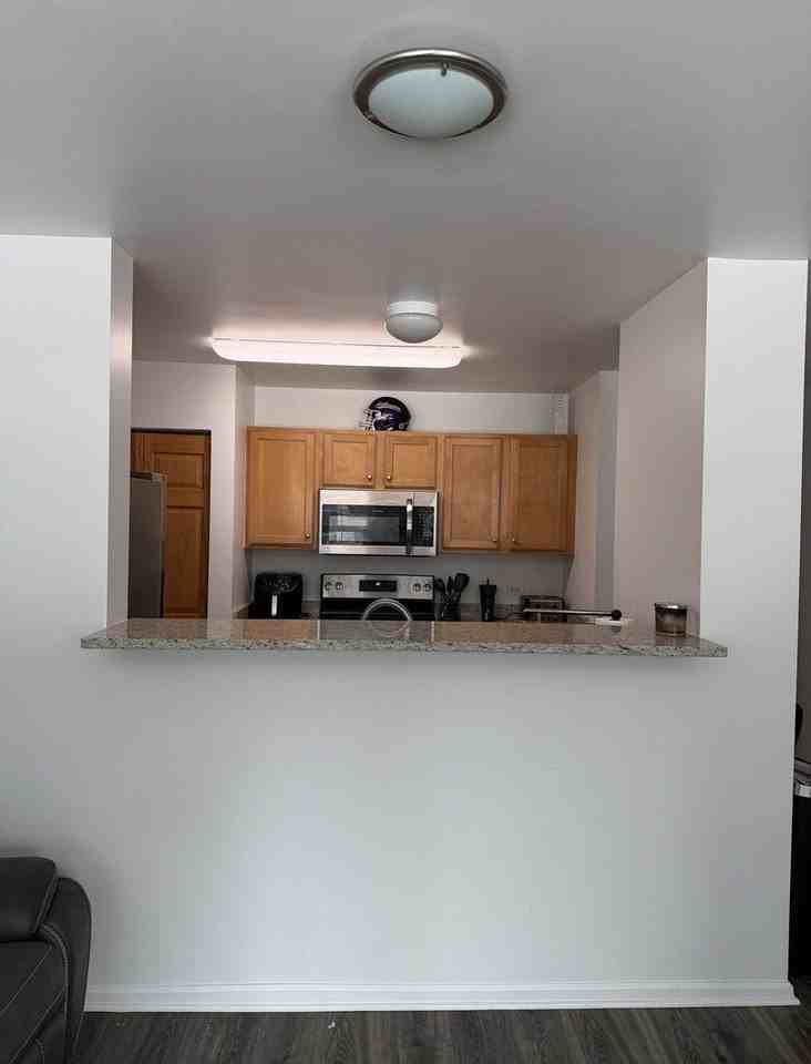 345 N La Salle Dr Apt 1504 - Photo 3 of 9