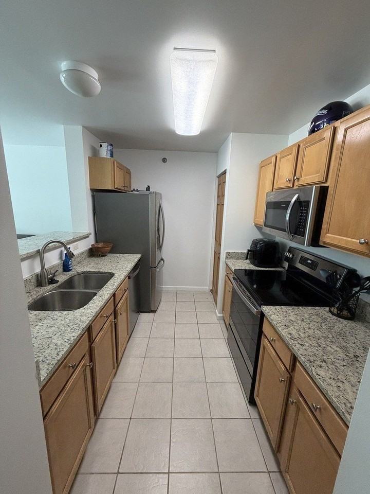 345 N La Salle Dr Apt 1504 - Photo 5 of 9