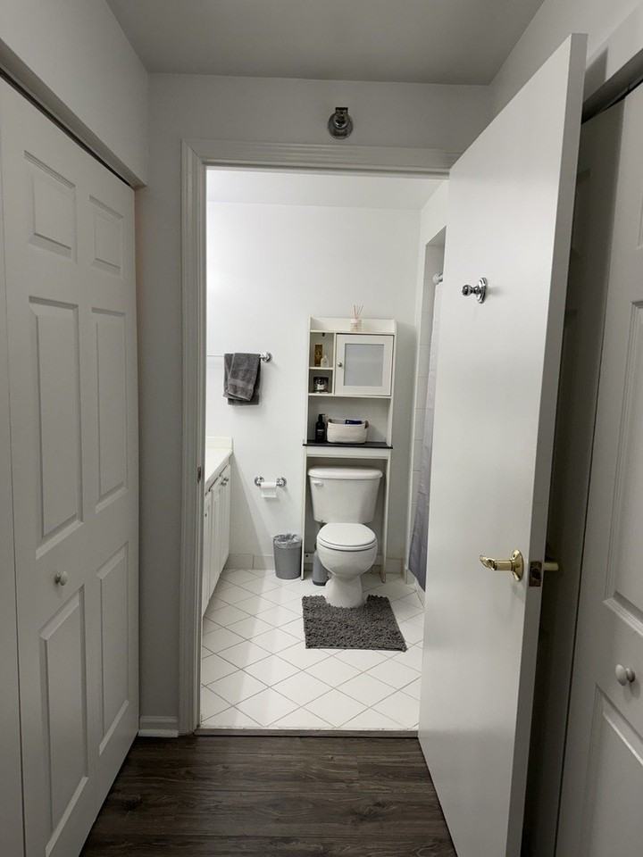 345 N La Salle Dr Apt 1504 - Photo 7 of 9