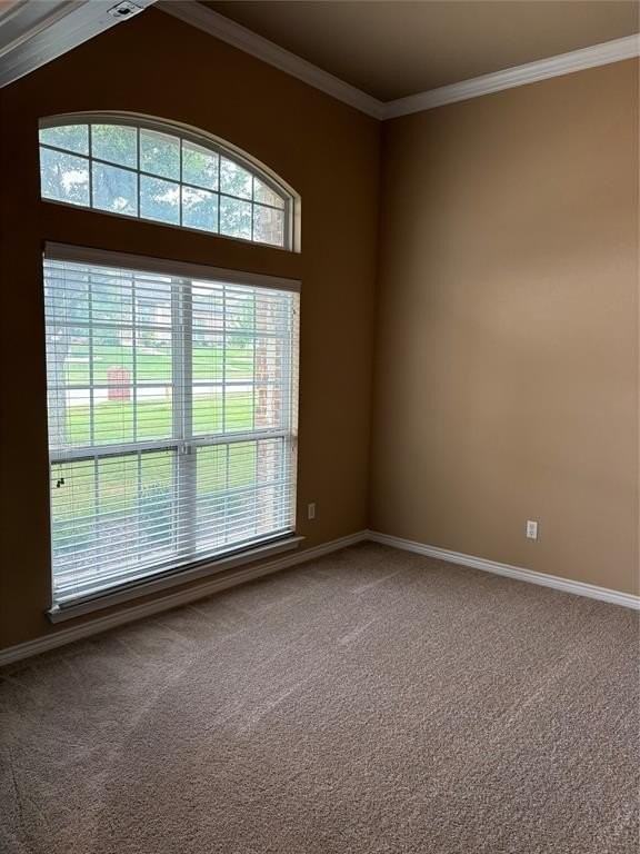 1297 Forest Green Dr - Photo 5 of 17