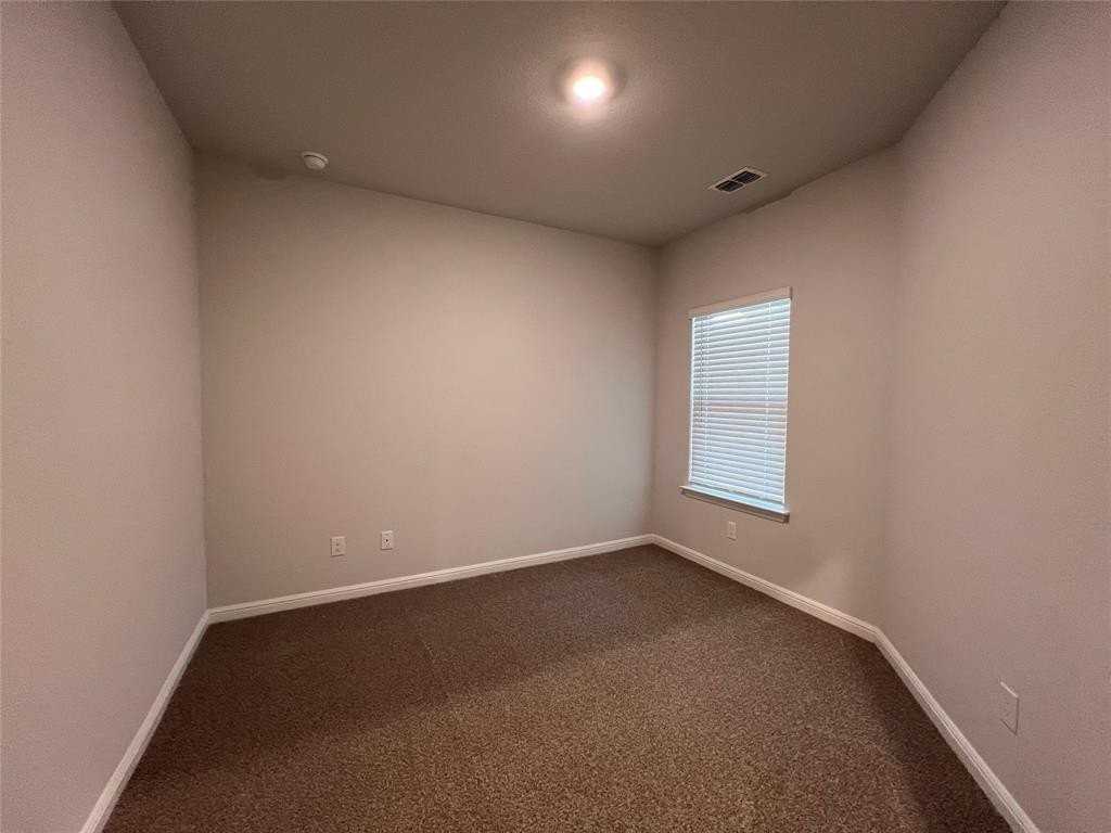 733 Prairie Clover Trl - Photo 5 of 18