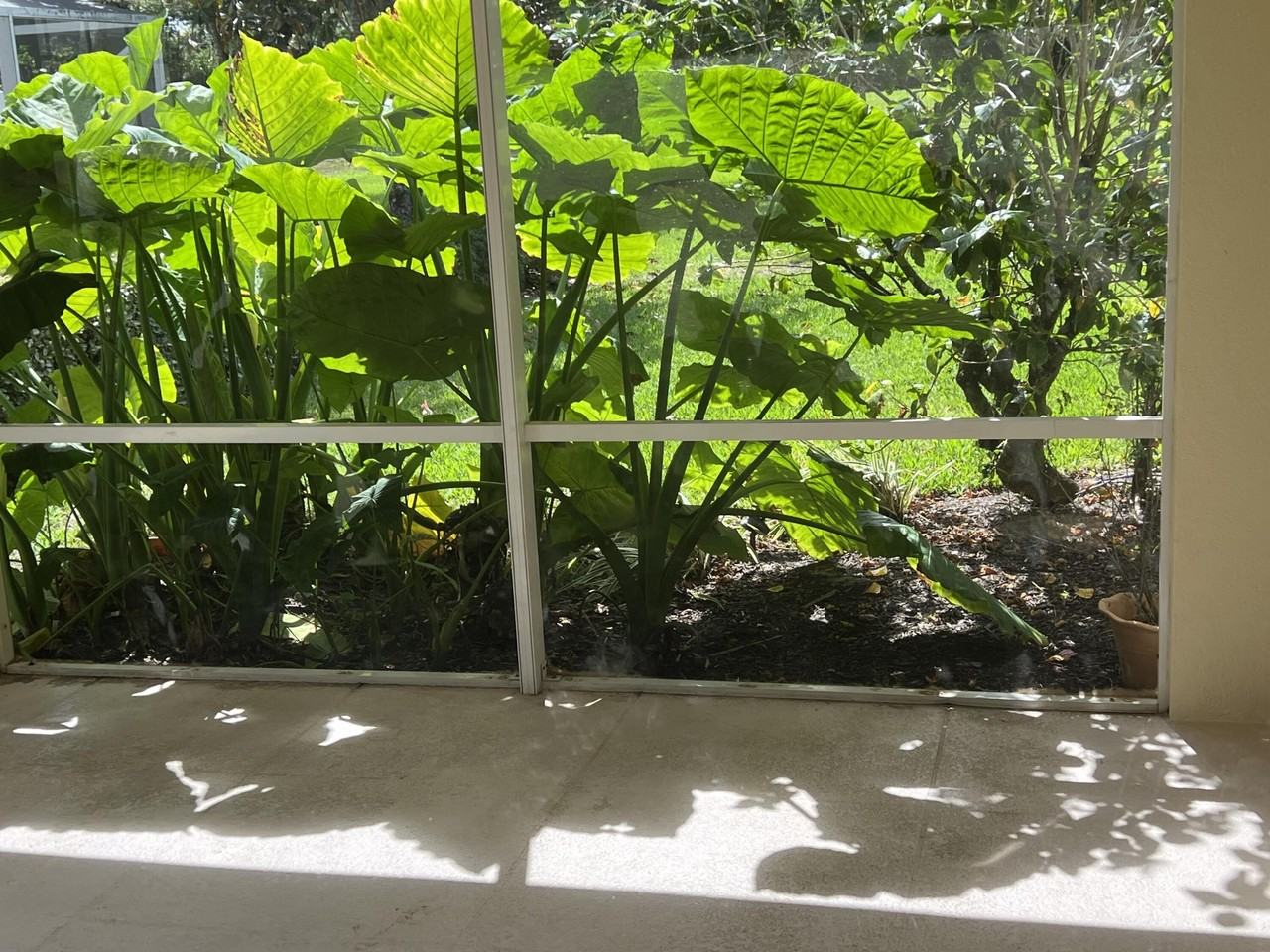 2824 Rio Claro Dr N - Photo 5 of 22