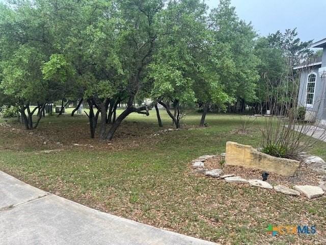 101 Cielo Vis - Photo 4 of 22