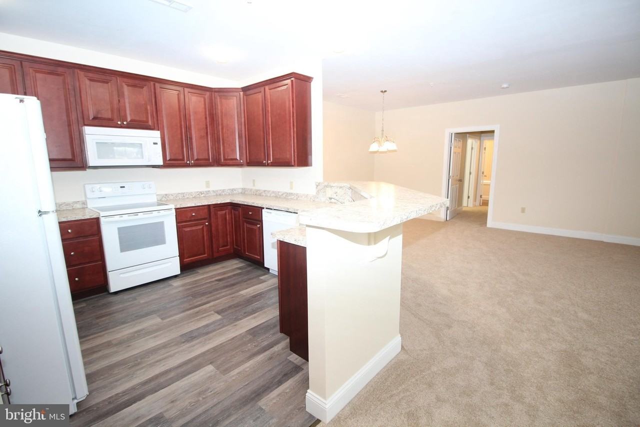 1665 Kenton Rd Apt 203 - Photo 4 of 26