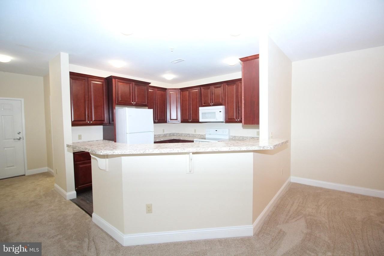 1665 Kenton Rd Apt 203 - Photo 6 of 26