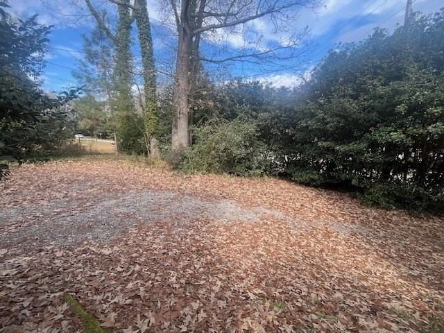 100 Fort Rutledge Rd - Photo 2 of 15