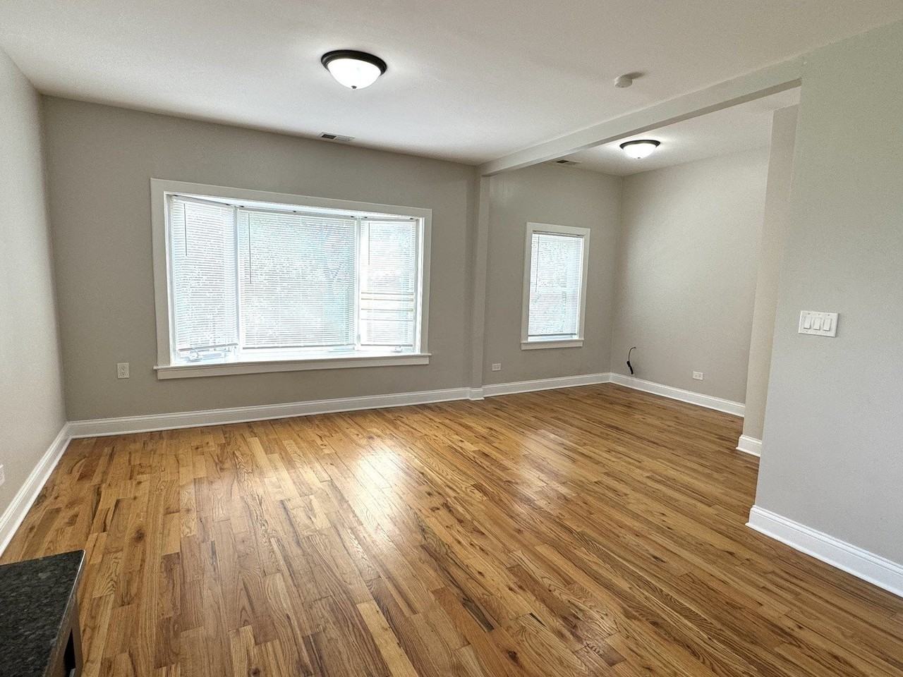 3904 W Armitage Ave Apt 2 - Photo 2 of 15