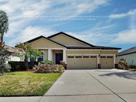 featured image of 1892 Tonka Ter