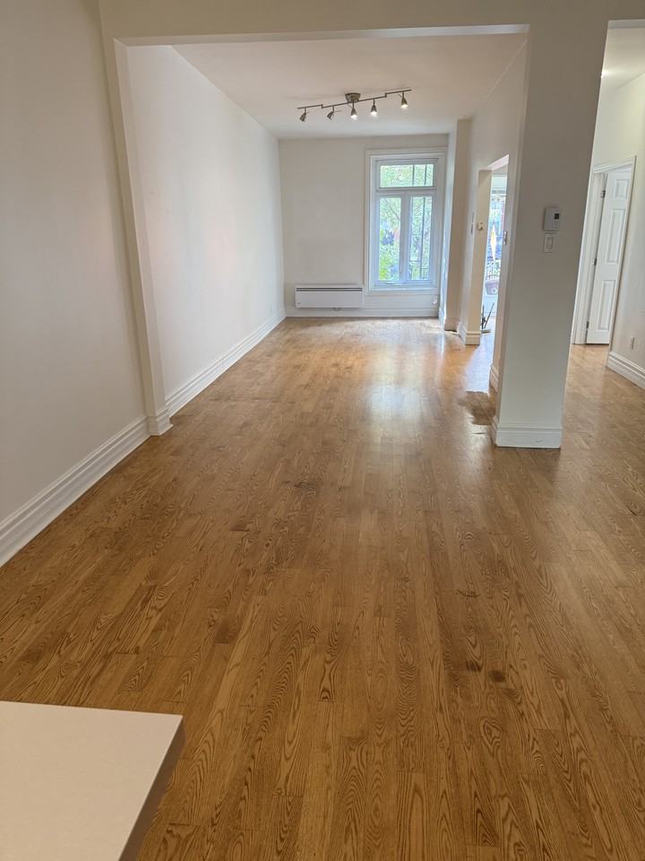 4451 Rue de Bordeaux - Photo 3 of 13