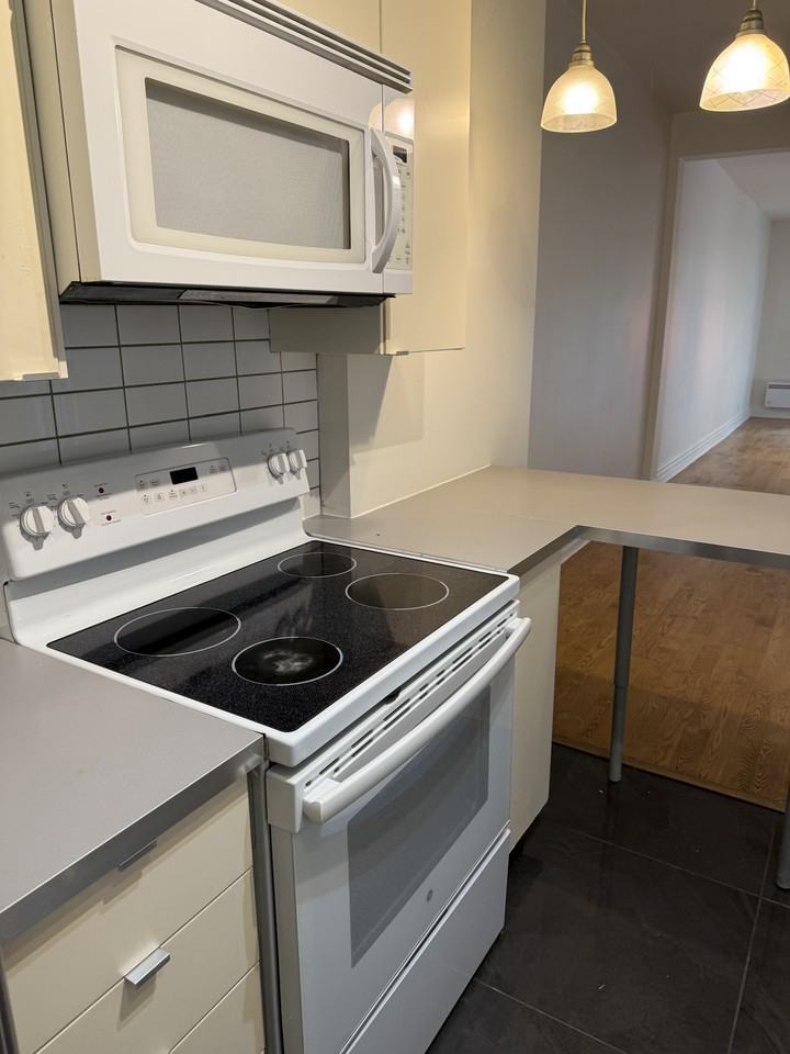 4451 Rue de Bordeaux - Photo 4 of 13