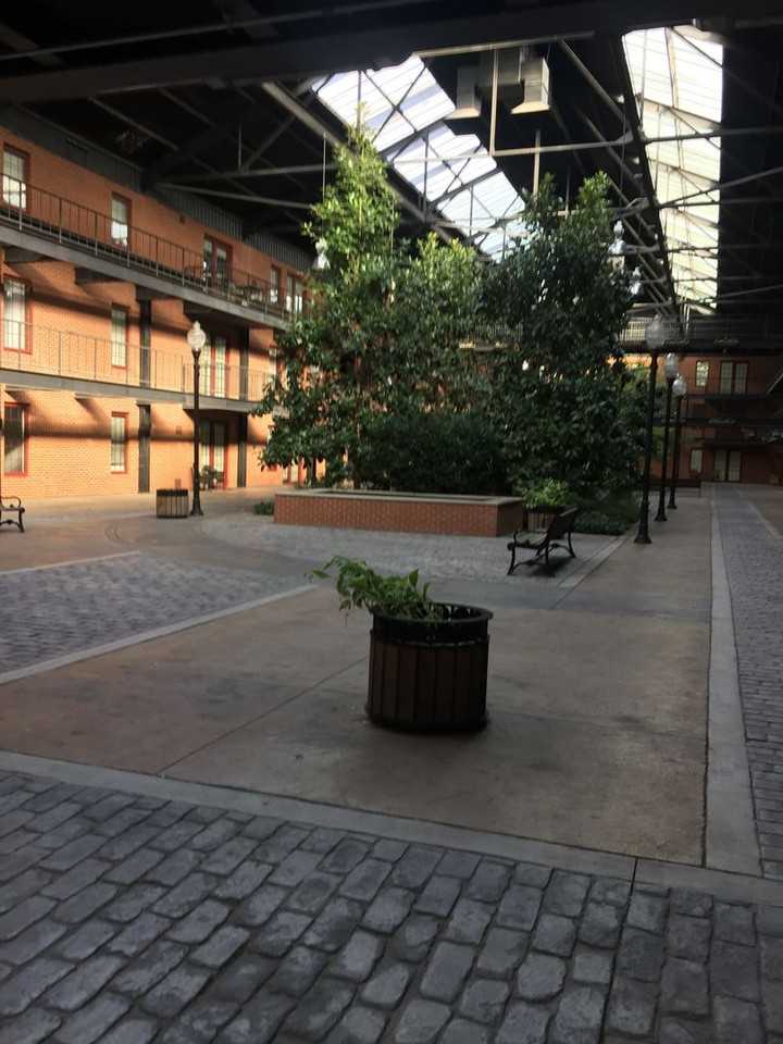 11 11 W 2nd Street - 11 W 2nd St #381 - Photo 7 of 19