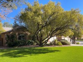 7392 Shady Breeze Ct - Photo 1 of 1