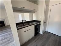 1128 Orchard Park Cir - Photo 5 of 14