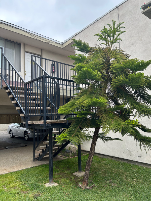 841 N Orange St - Photo 3 of 8