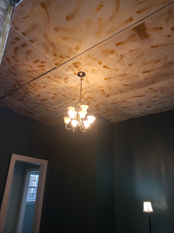 408 Voorhies St #B - Photo 3 of 15