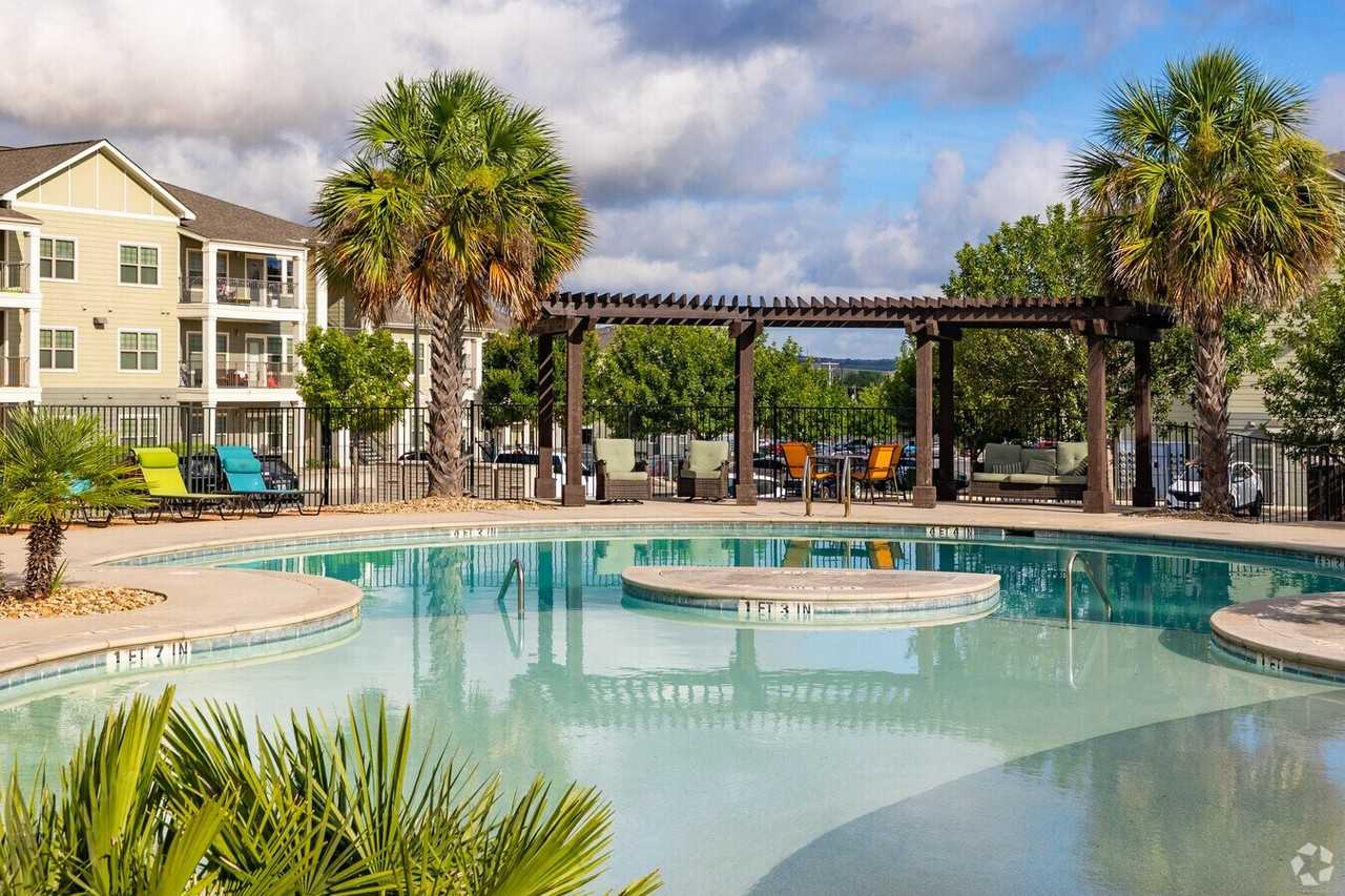 The Sage - Photo 4 of 14