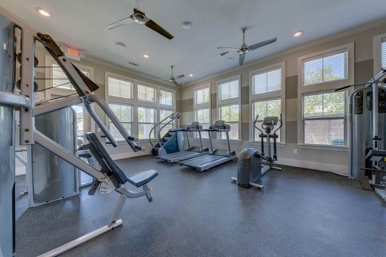 The Sage - Photo 6 of 14