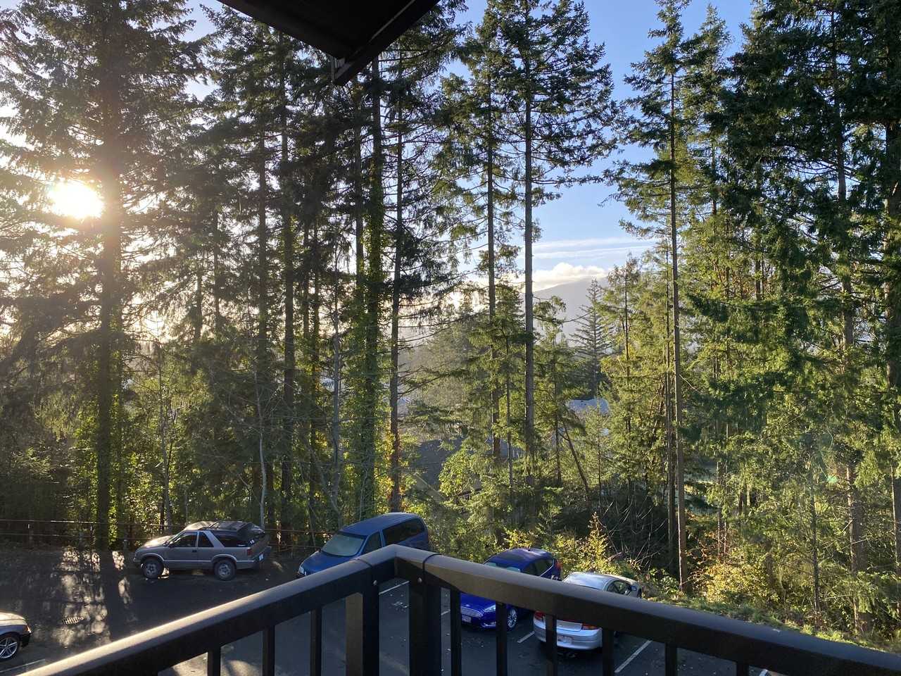 Forest Glen Manor - Photo 4 of 4