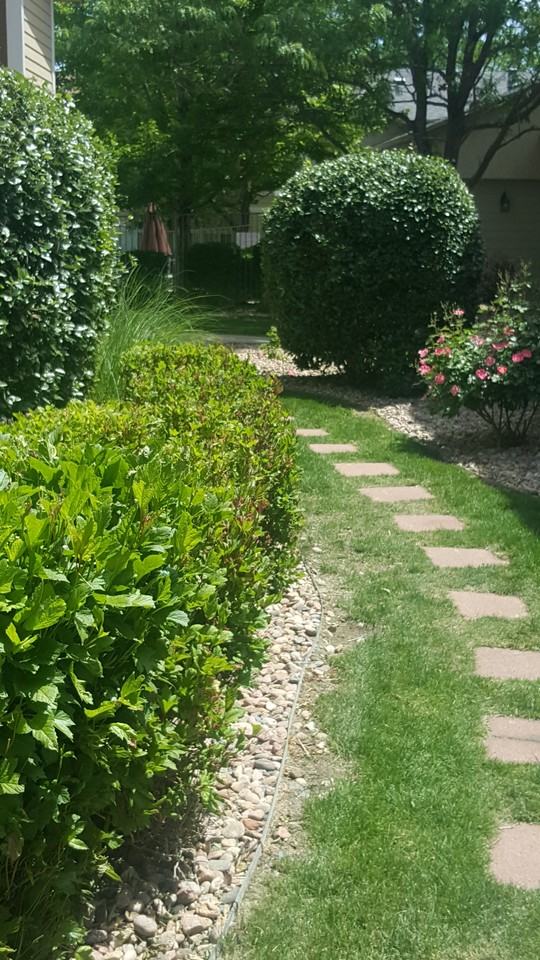 4875 S Balsam Way #18-202 - Photo 3 of 8