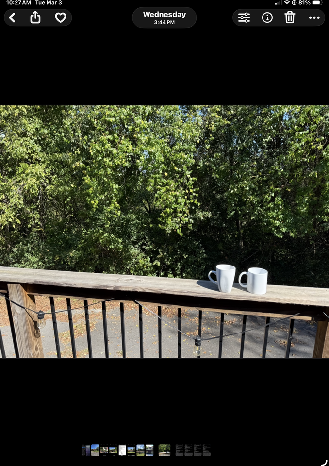 245 Hickorydale Dr #A - Photo 4 of 4